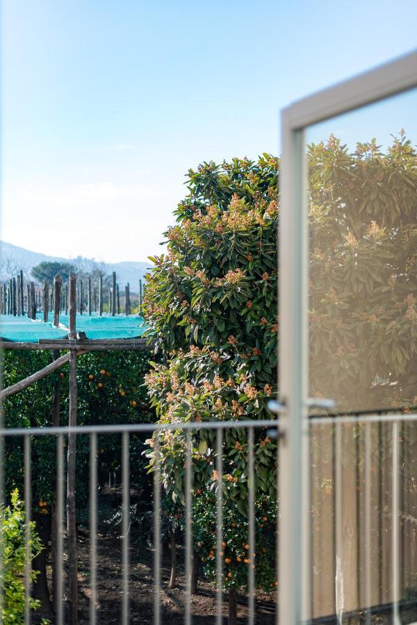 Hotel Pane E Marmellata Sant'Agnello Exterior foto